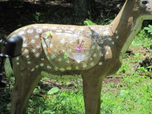 Cherokee Bow Hunters Club Kids Day221