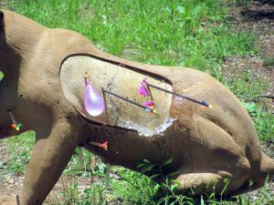 Cherokee Bow Hunters Club Kids Day226